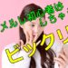 【驚きの真実！】メールレディ初心者の人が最初にビックリする事